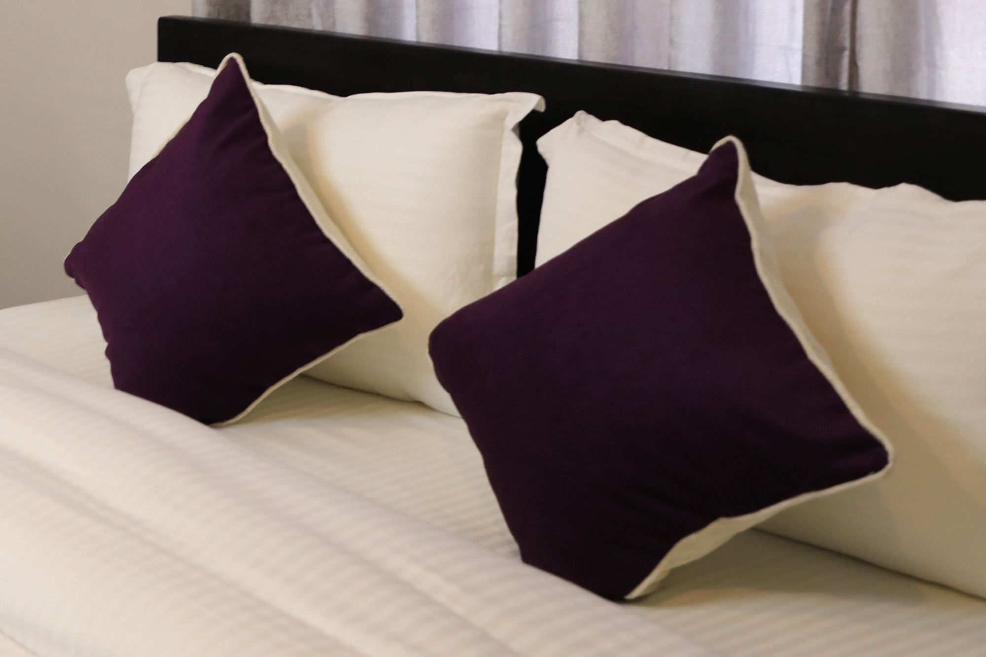 Ausfinn Hotel Metro Inn Katmandu Dış mekan fotoğraf